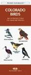 Colorado Birds: An Introduction to Familiar Species (Pocket Naturalist)