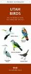 Utah Birds: An Introduction to Familiar Species