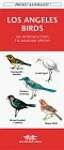 Los Angeles Birds: An Introduction to Familiar Species