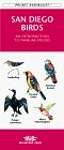 San Diego: An Introduction to Familiar Species