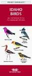 Idaho Birds: An Introduction to Familiar Species