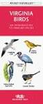 Virginia Birds: An Introduction to Familiar Species