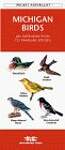 Michigan Birds: An Introduction to Familiar Species