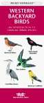 Western Backyard Birds: An Introduction to Familiar Urban Species