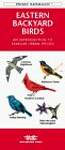Eastern Backyard Birds: An Introduction to Familiar Urban Species