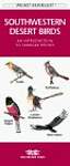 Southwestern Desert Birds: An Introduction to Familiar Species