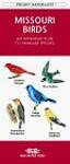Missouri Birds: An Introduction to Familiar Species