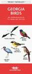 Georgia Birds: An Introduction to Familiar Species