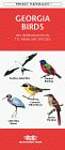 Georgia Birds: An Introduction to Familiar Species