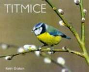Titmice