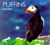 Puffins