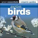 Garden Birds