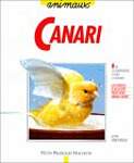 Le canari : Bien le comprendre et bien le soigner