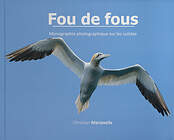 Fou de fous. Monographie photographique sur les Sulidae.