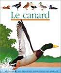 Le canard