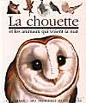 La chouette et les animaux qui volent la nuit