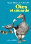 Oies et canards