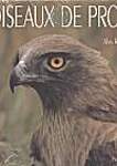 Oiseaux de proie