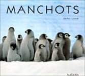 Manchots