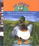 Le Canard : Walter, le caneton de la ferme, s'envole Ã  la poursuite des canards sauvages.