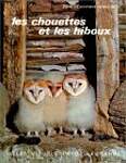 COMMENT VIVENT-ILS ? Volume 5, les chouettes et les hiboux