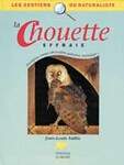 La chouette effraie