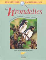 Les hirondelles