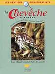 La Chevêche d'Athéna