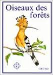 Oiseaux des forêts