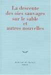 La Descente des oies sauvages sur le sable et autres nouvelles