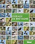 Oiseaux de Bretagne