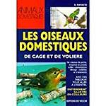 Les oiseaux domestiques de cage et de volière