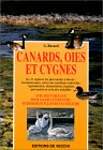 Canards, oies et cygnes