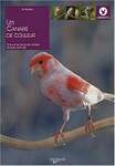 Les canaris de couleurs