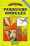 Vous et votre perruche ondulée