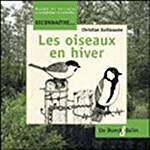 Les oiseaux en hiver