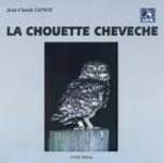 La Chouette chevèche