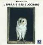 L'Effraie des clochers