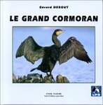 Le Grand Cormoran