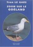 Zoom sur le goeland