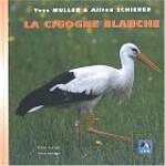 La cigogne blanche