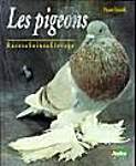 Les pigeons : races, soins, élevage