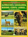 Autruches, sangliers, bisons, cerfs, lamas.... Les nouveaux élevages