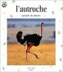 L'Autruche : Panache de plumes