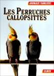 Les perruches callopsittes