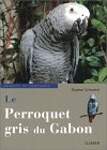 Le Perroquet gris du Gabon