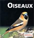 Oiseaux