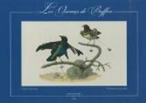 Les Oiseaux de Buffon : Coffret de 20 estampes