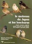 Le moineau du Japon et les lonchuras