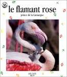 Le flamand rose. Prince de la Camargue